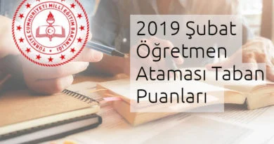 2019 şubat kpss