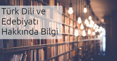 türk dili ve edebiyatı bilgi