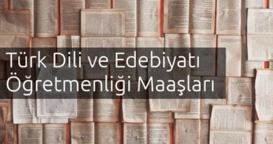 türk dili ve edebiyatı