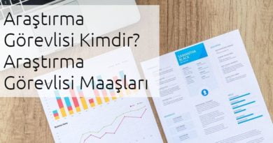 araştırma görevlisi