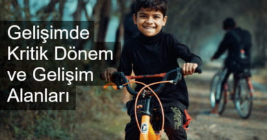 kritik dönem ve gelişim alanları