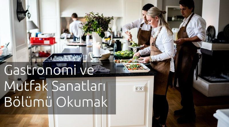 gastronomi ve mutfak sanatları bölümü